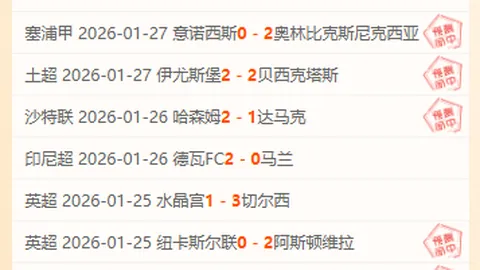 2020-2021赛季德甲第13轮赛事亮点回顾